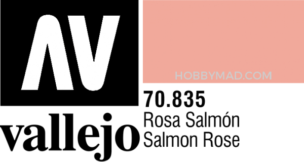 70835 Model Colour - Salmon Rose 17ml