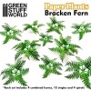 Paper Plants - Bracken Fern