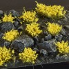 Yellow Flowers, WILD