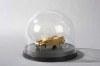 DISPLAY CASE J - DOME TYPE