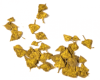 DRY LEAVES, BIRCH AUTUMN, 1:35