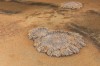 Explosion Craters
