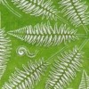 FERNS, 1:35