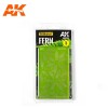 FERNS, 1:35