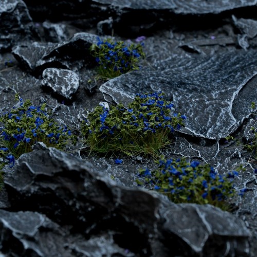 Blue Flowers, WILD